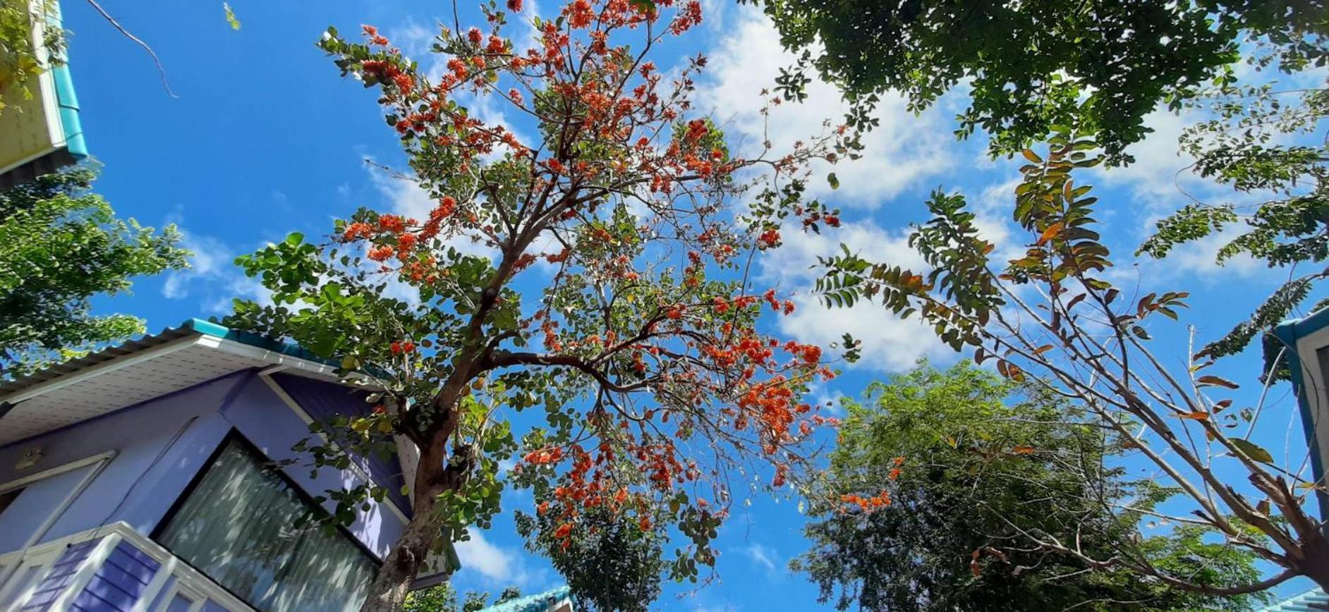Rak Kun Resort 2 Nakhon Sawan Bagian luar foto